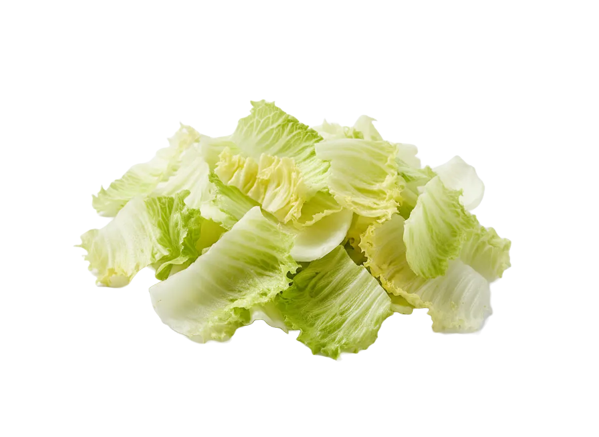 Iceberg salata obradjena