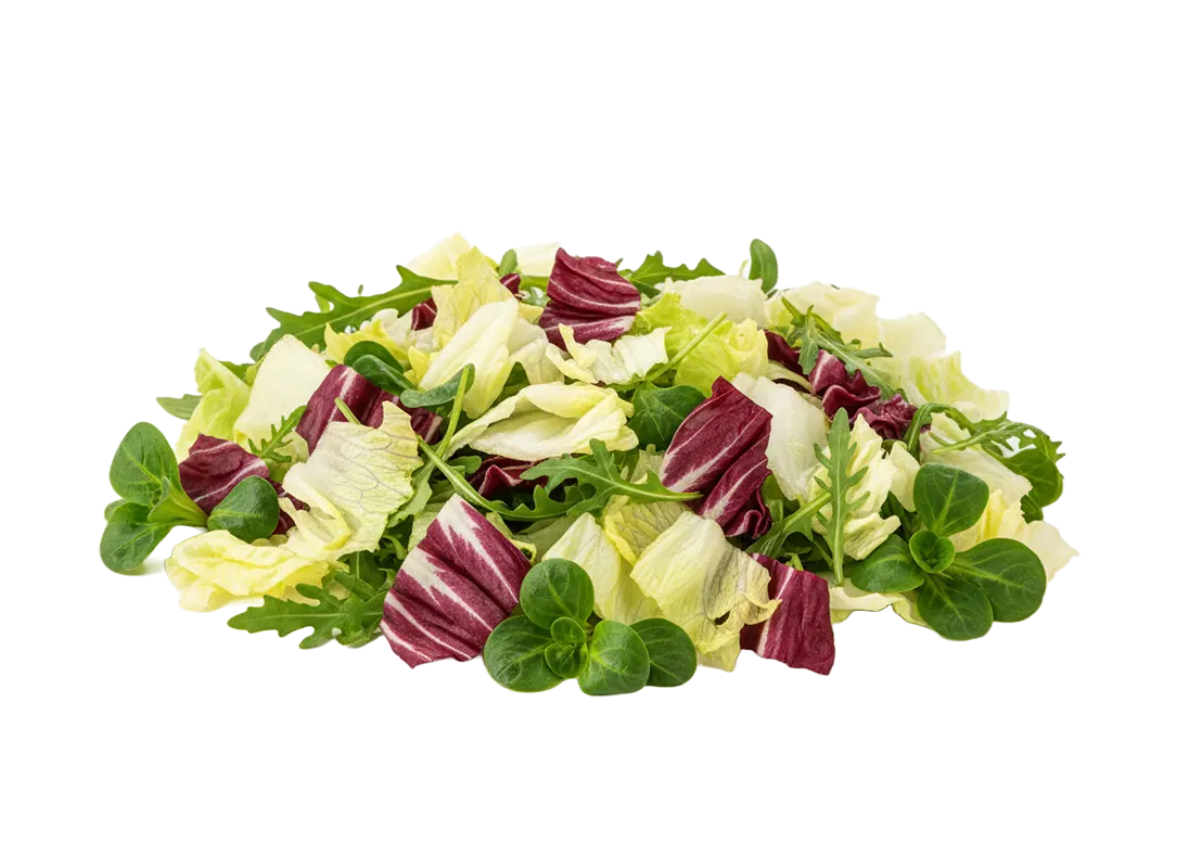 Alimento Mix 3 - 250gr