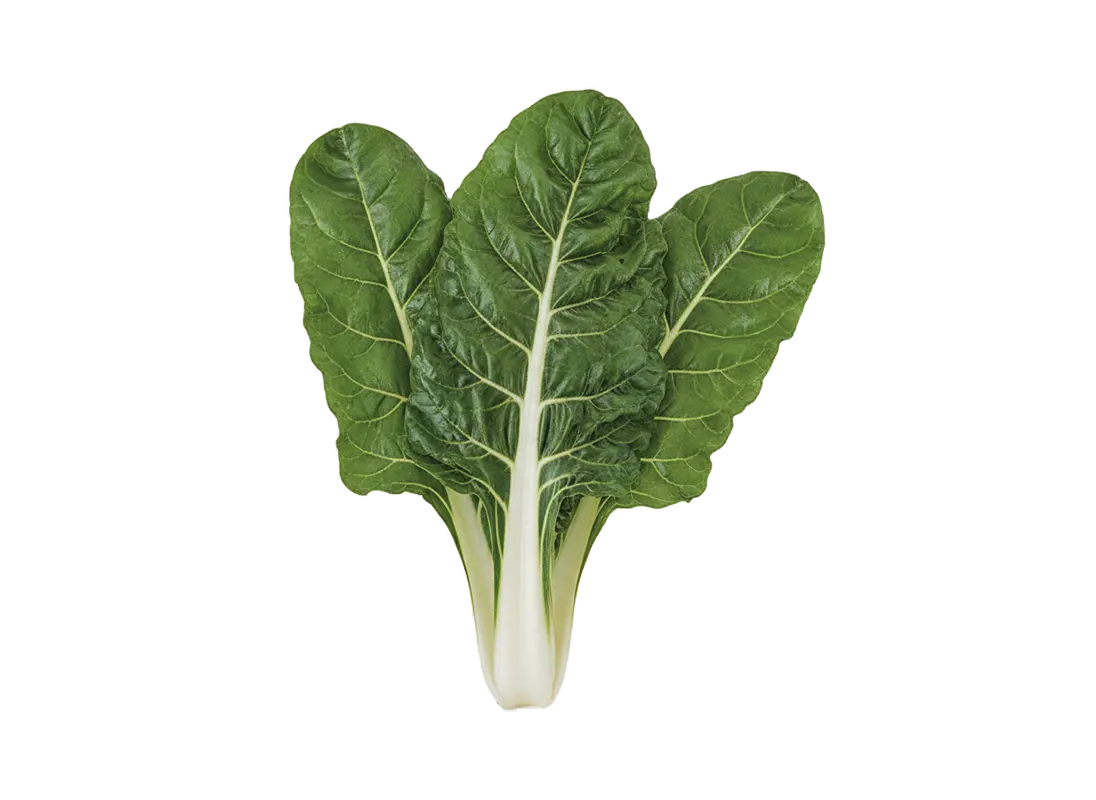 blitva