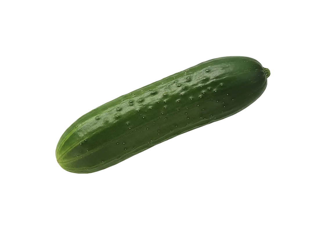 krastavac