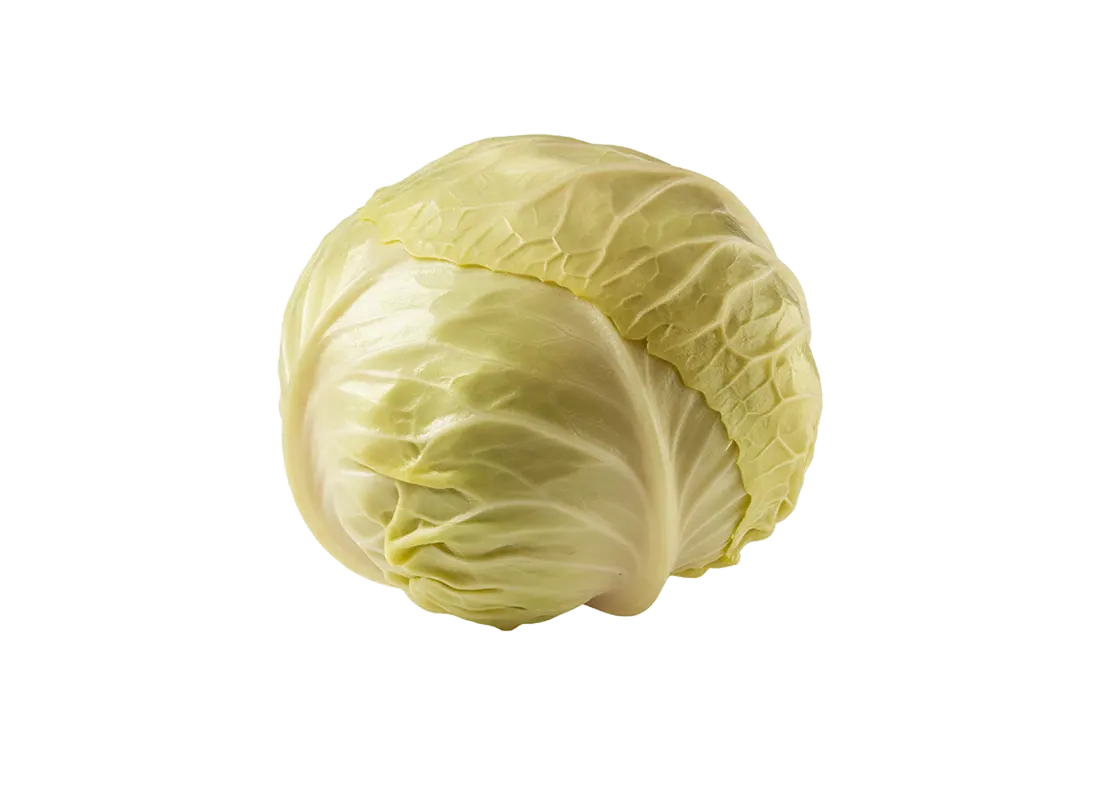 kupus kiseli glavica