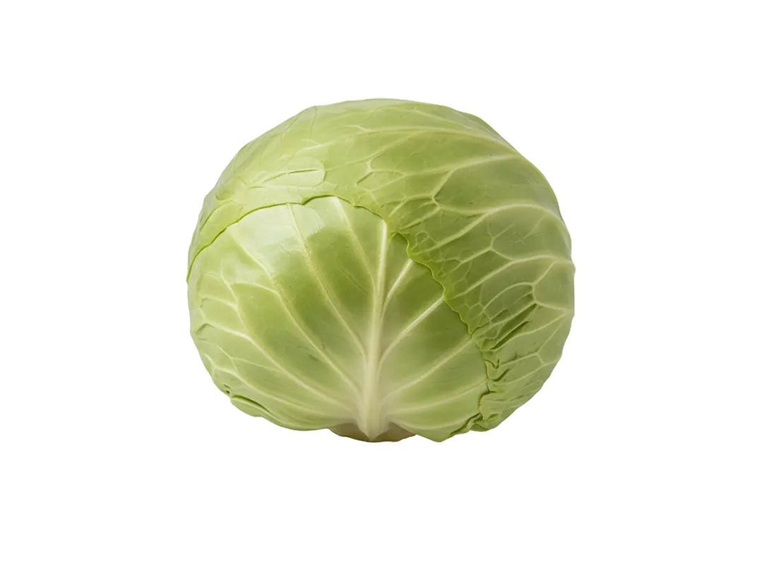 Kupus