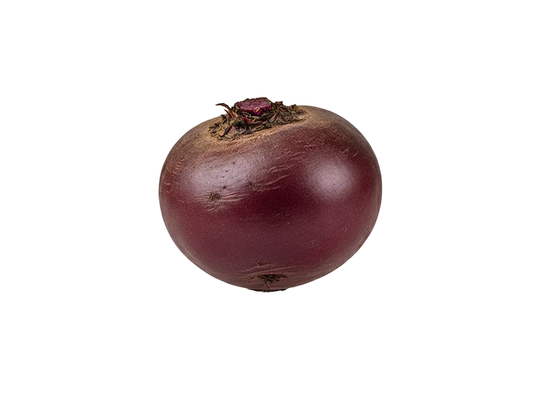 svekla